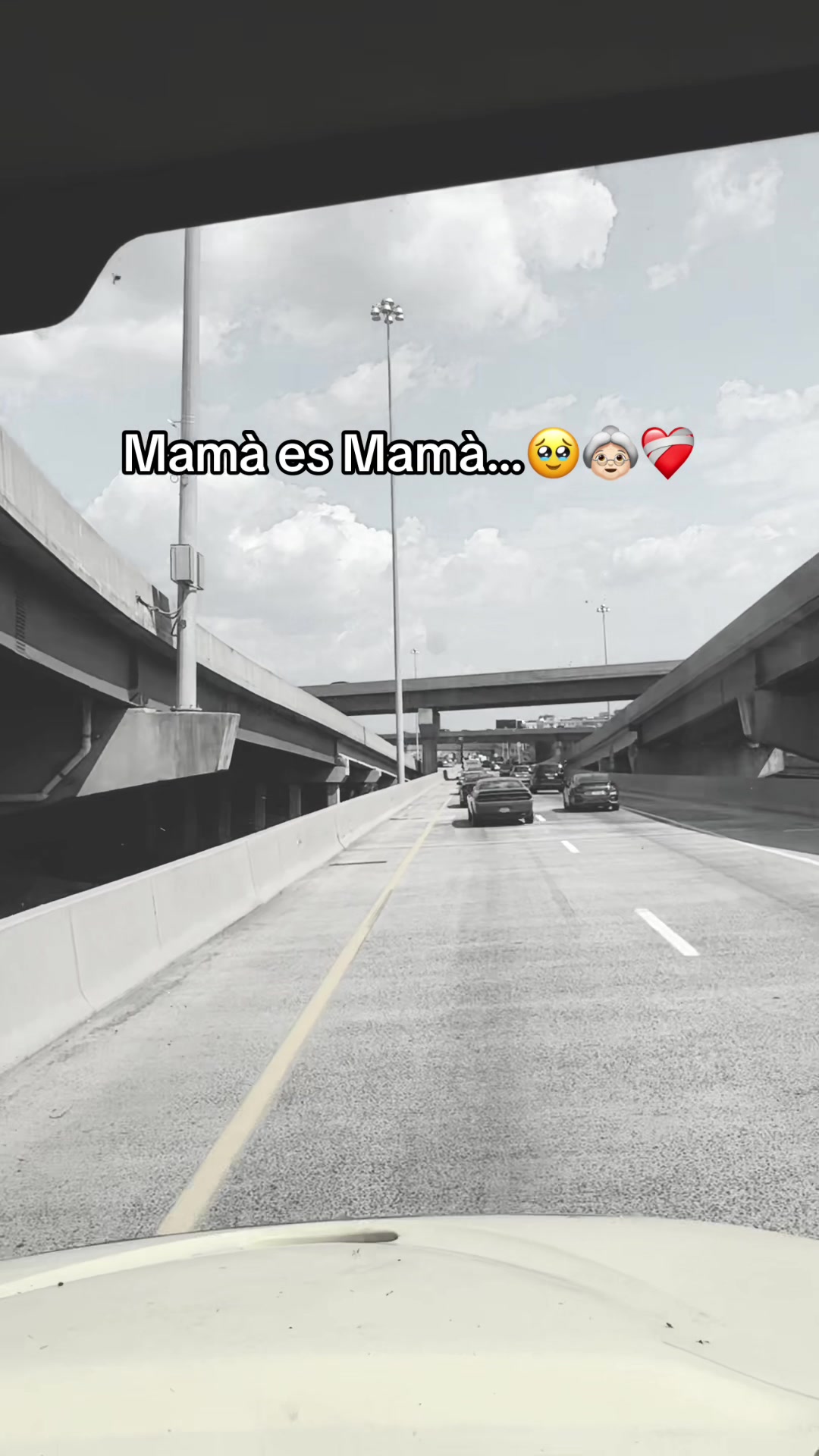@R. 💔 BOTZOC.🖤🍻🖤🫶🏻🇬🇹