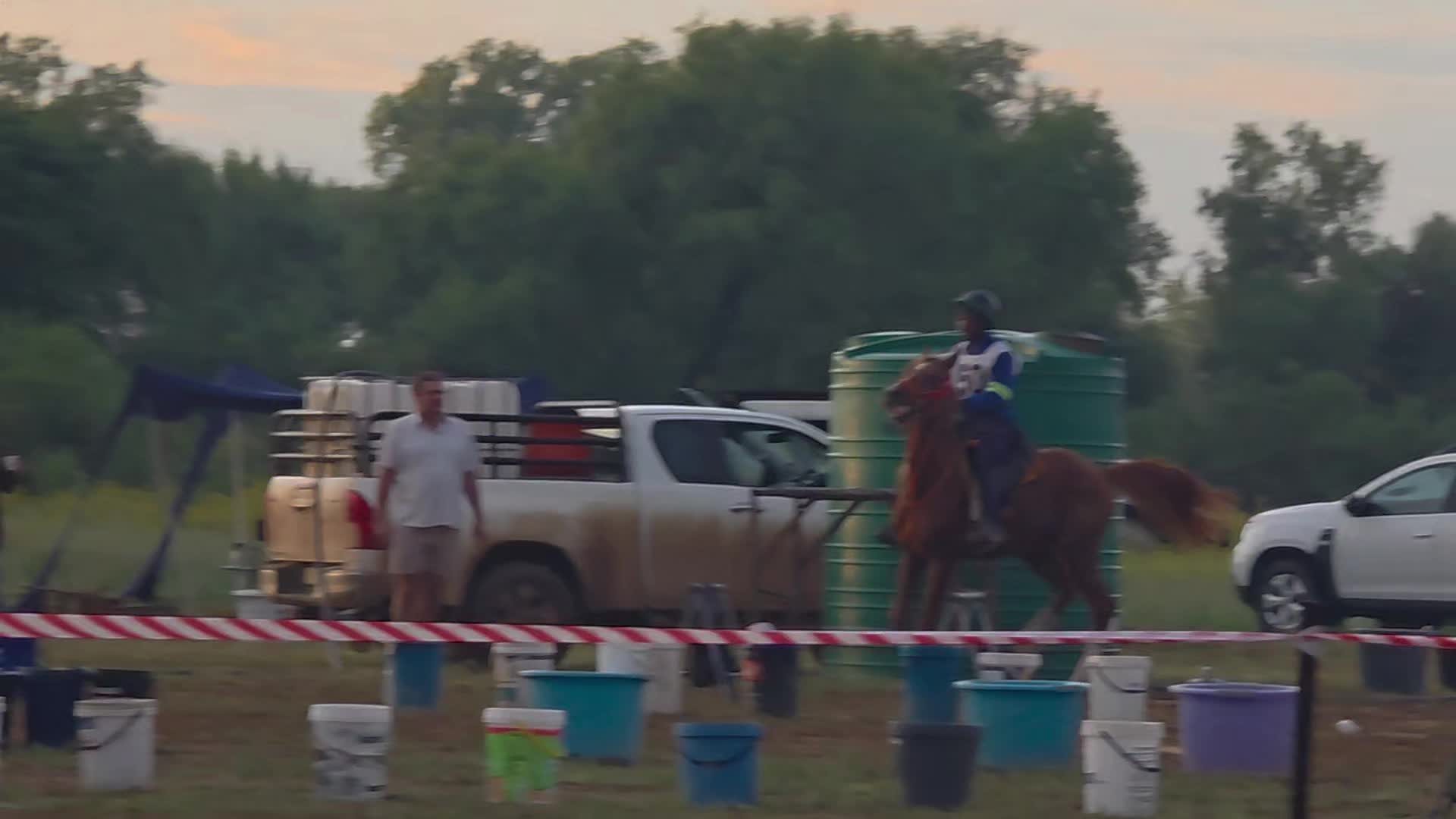 @uitzicht_arabian_stud