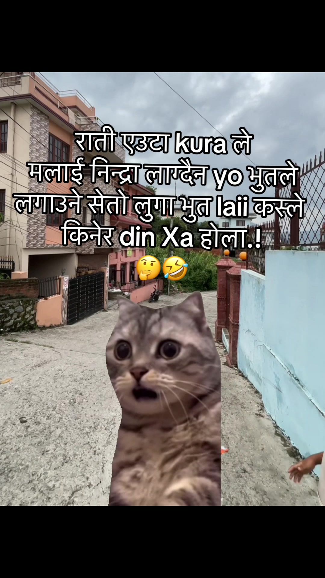 @अजय राज धामी 🇵🇹