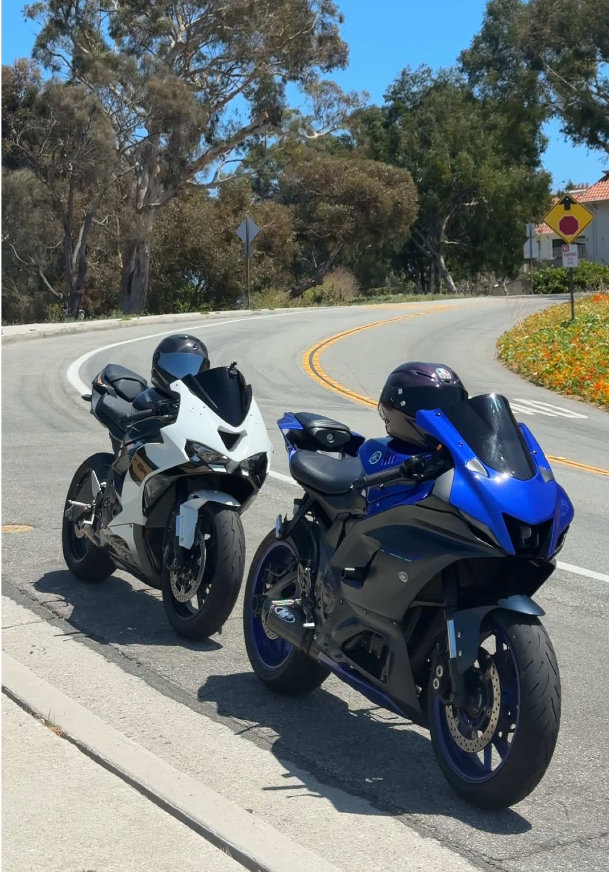 @edz.636