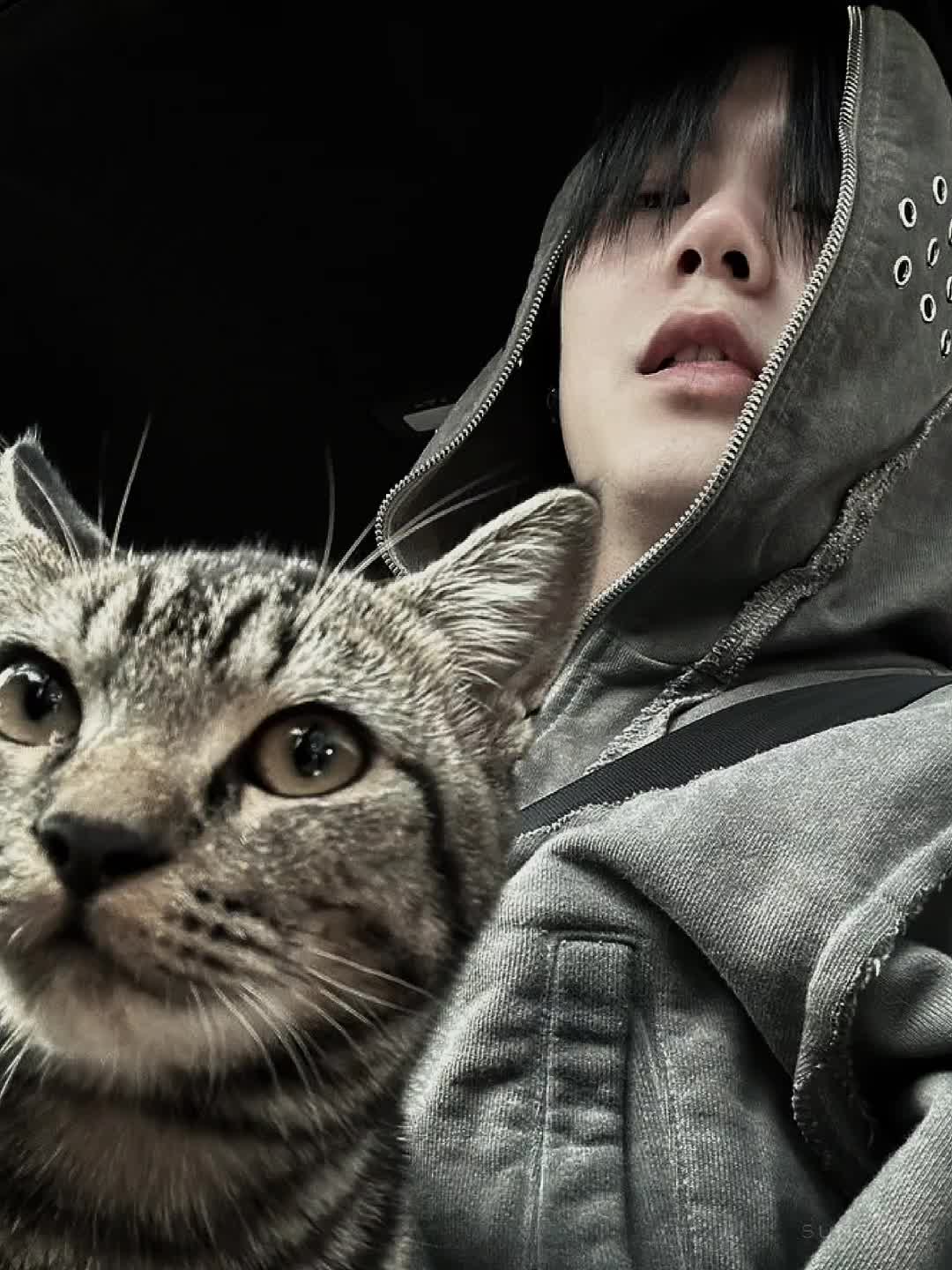 @🐈&zwj;⬛