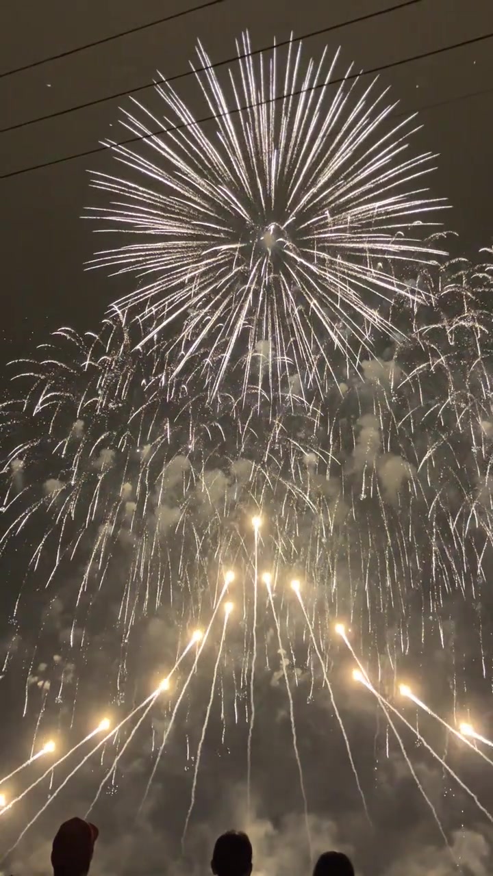 @蝶々