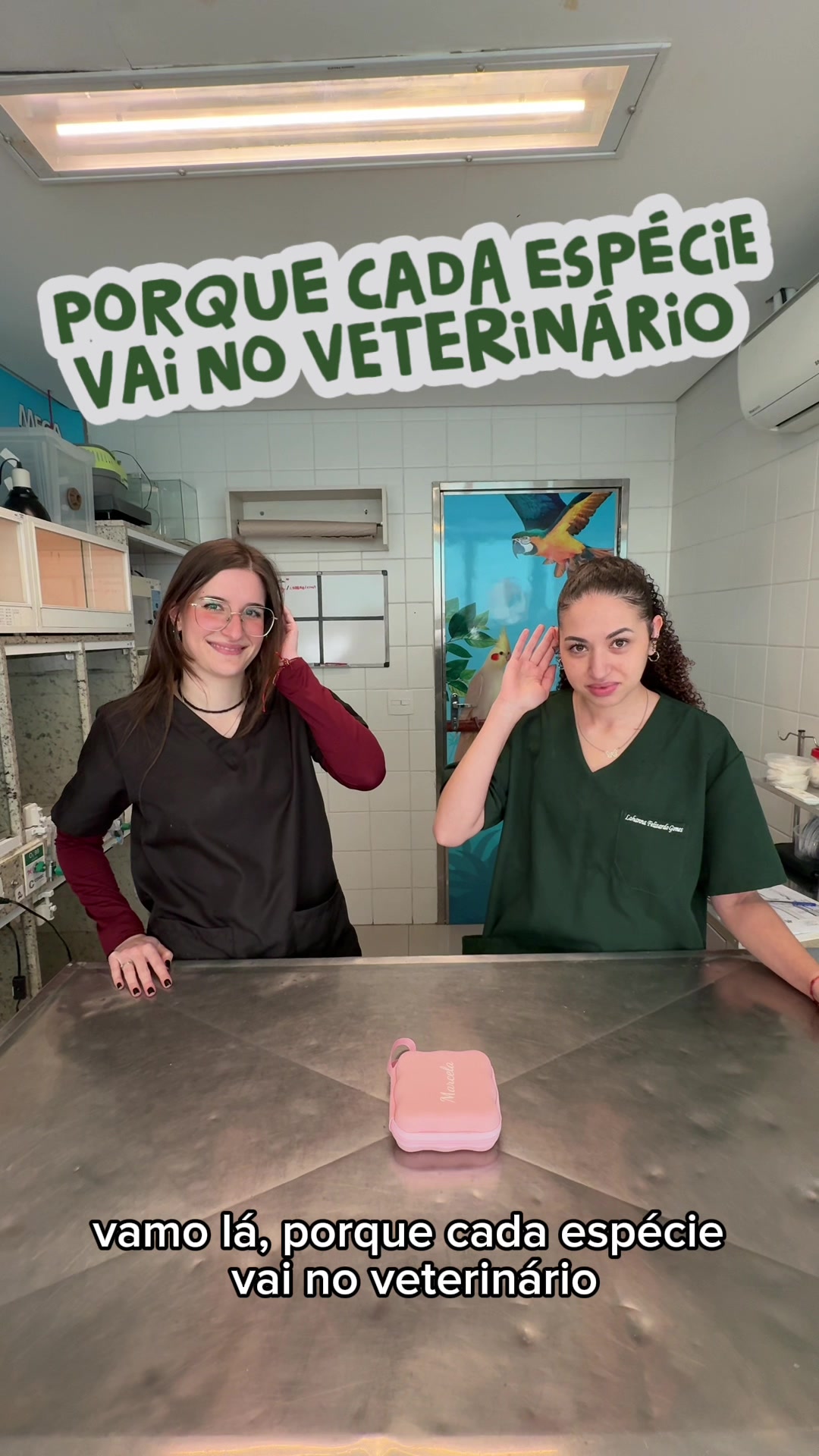 @Marcela Antunes