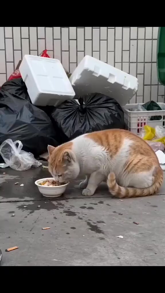 @🍂Памятные видео🍂