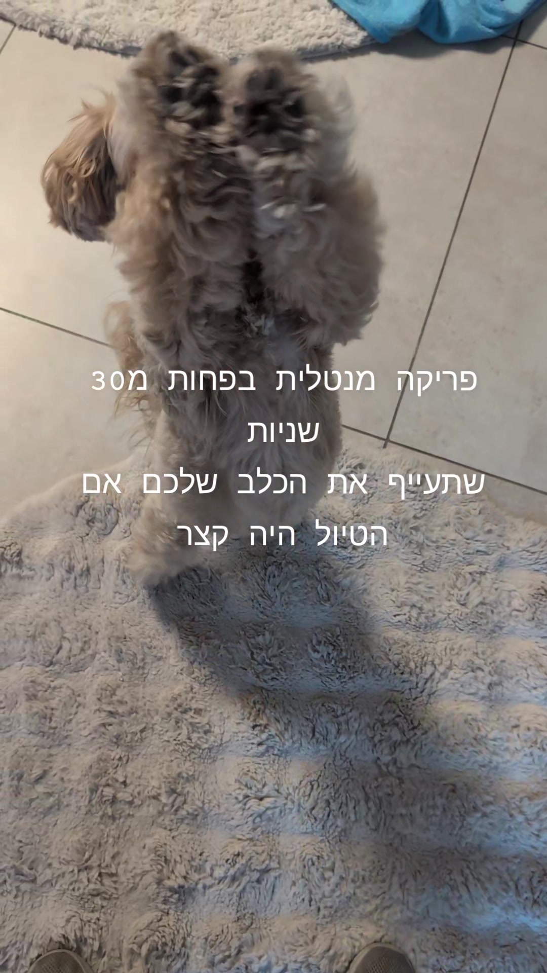 @sapir_and_julie