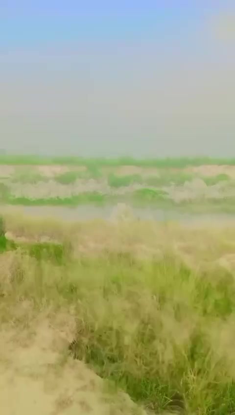 @BiLaL BhAtTi4119