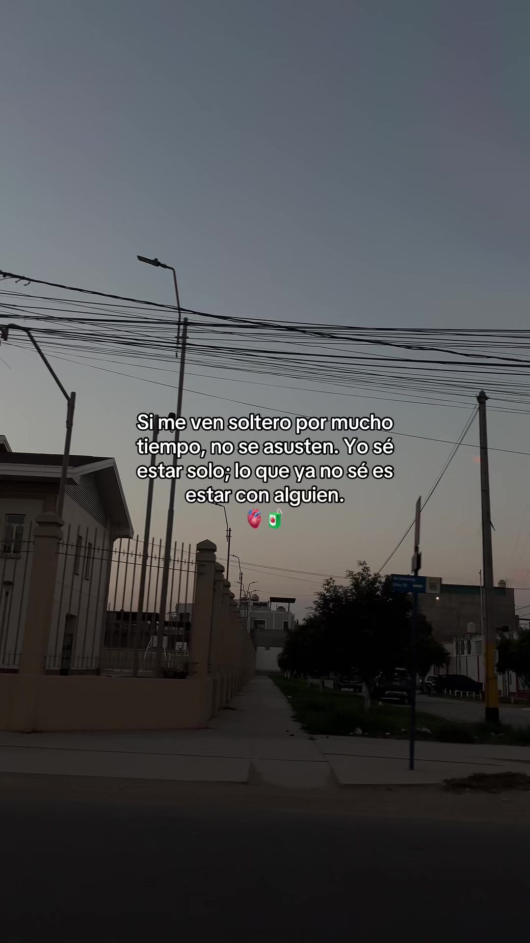 @Gatocix 🐱