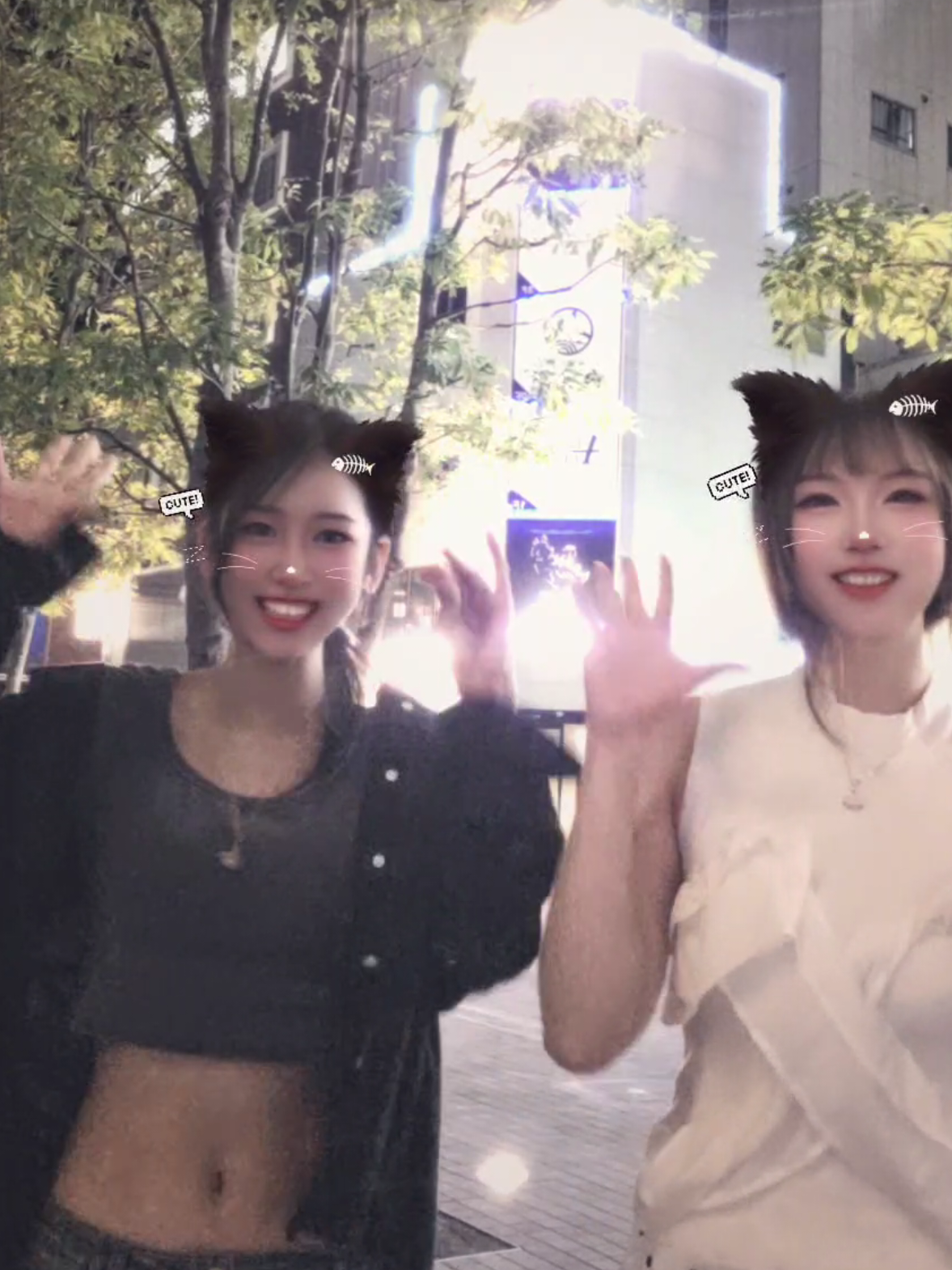 @Leo🦁⋆︎ 嶋田礼央