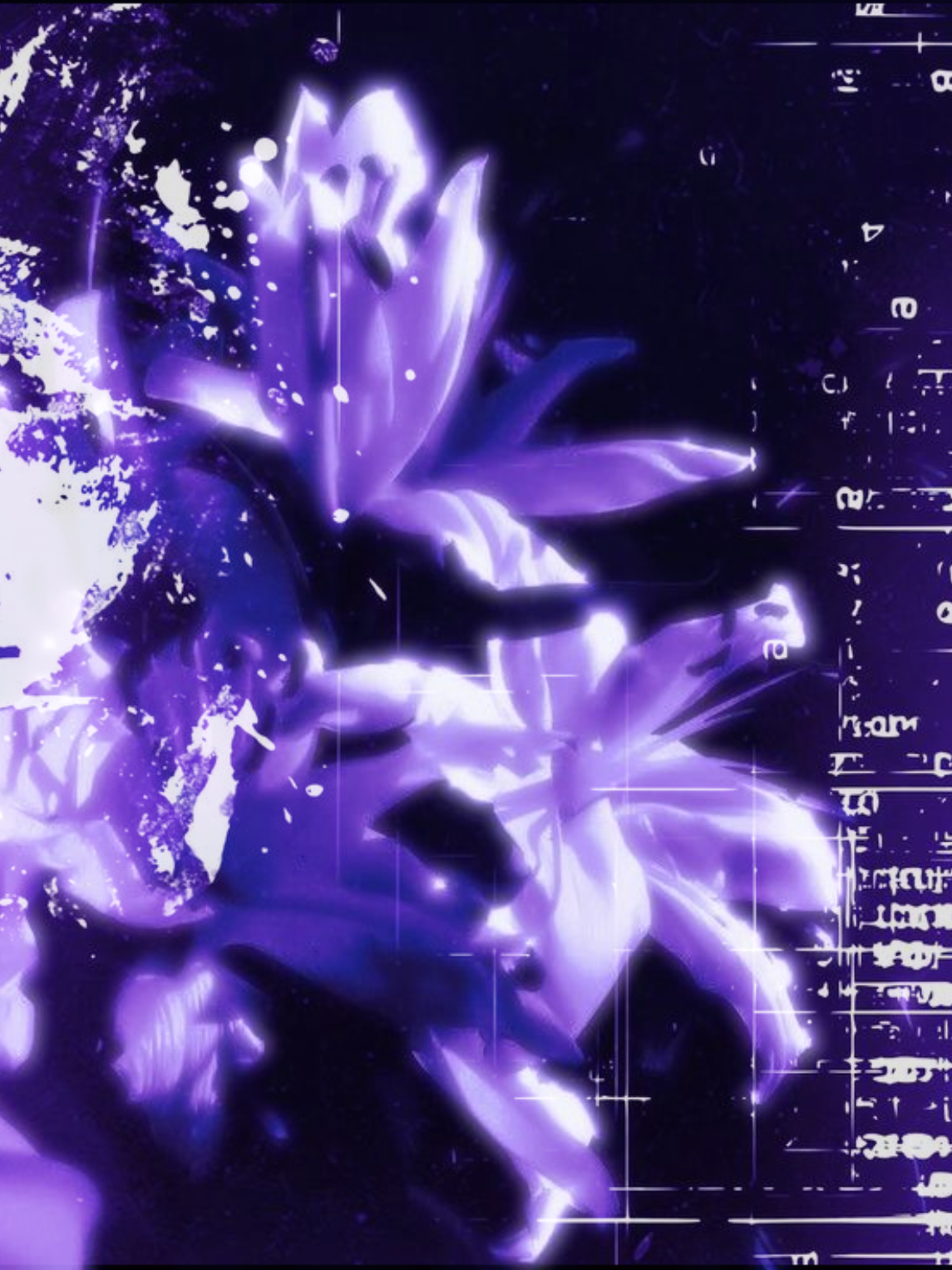 @๐ฝ๐๐๐ ๐ป๐๐๐๐