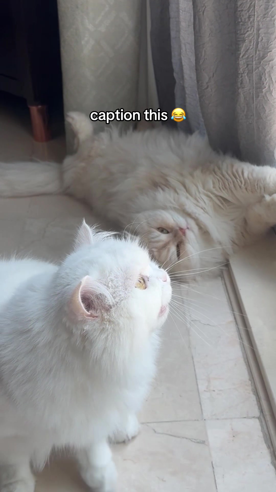 @ekekekkekkek