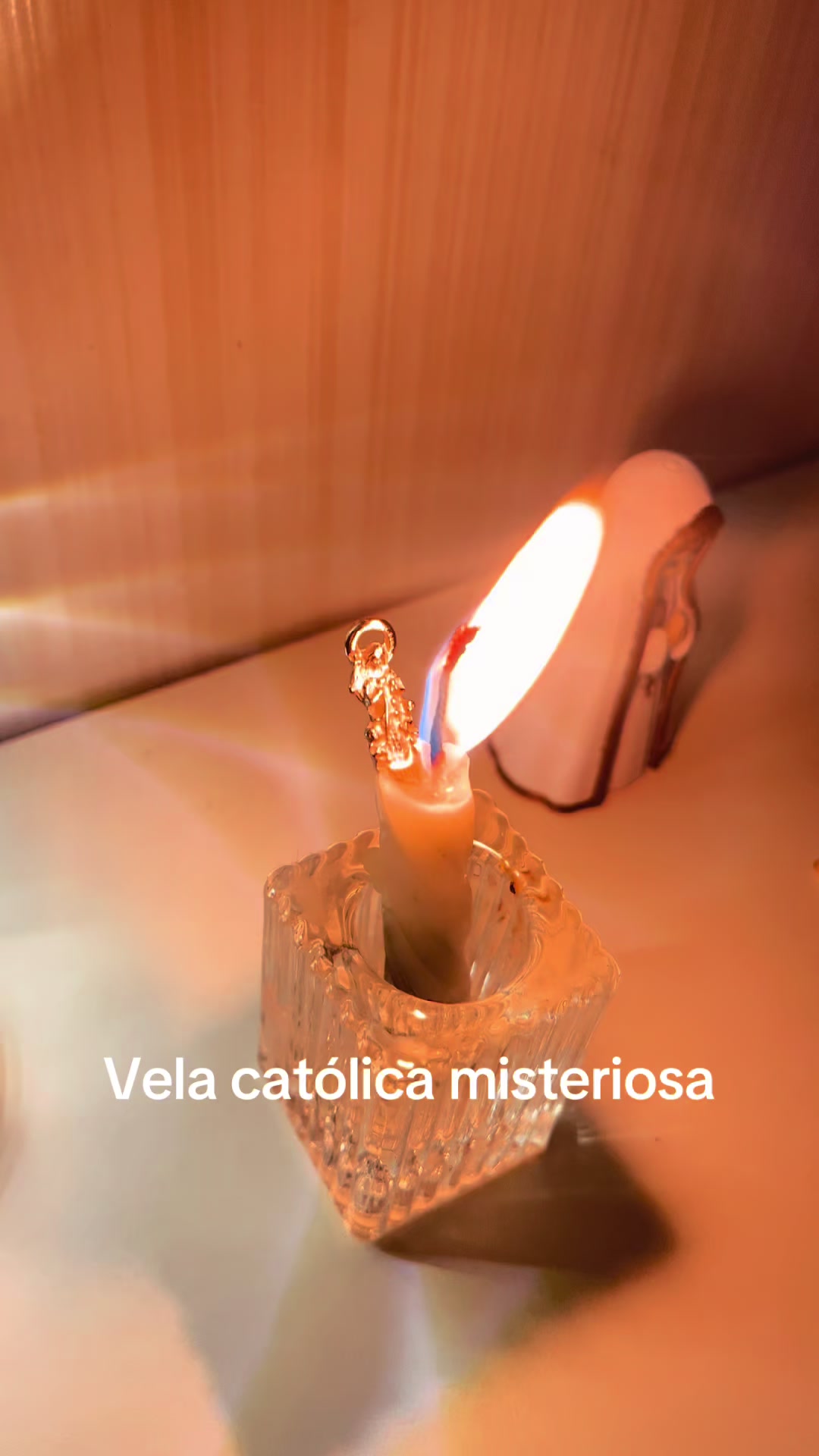 @renatamello261