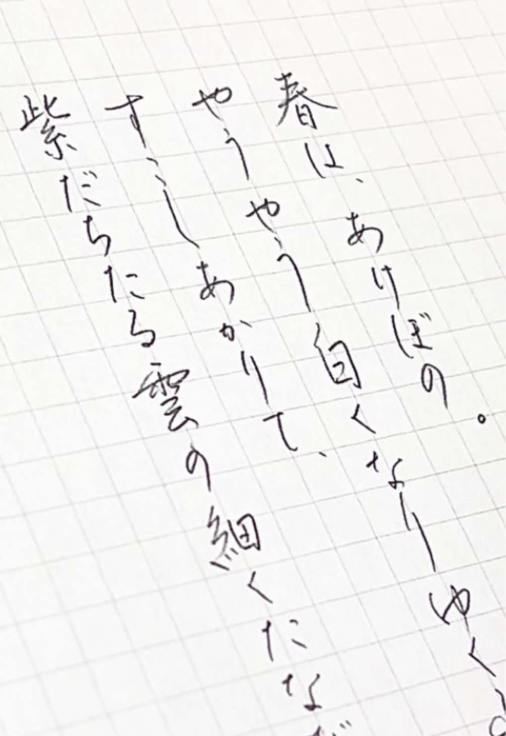 @茉 莉