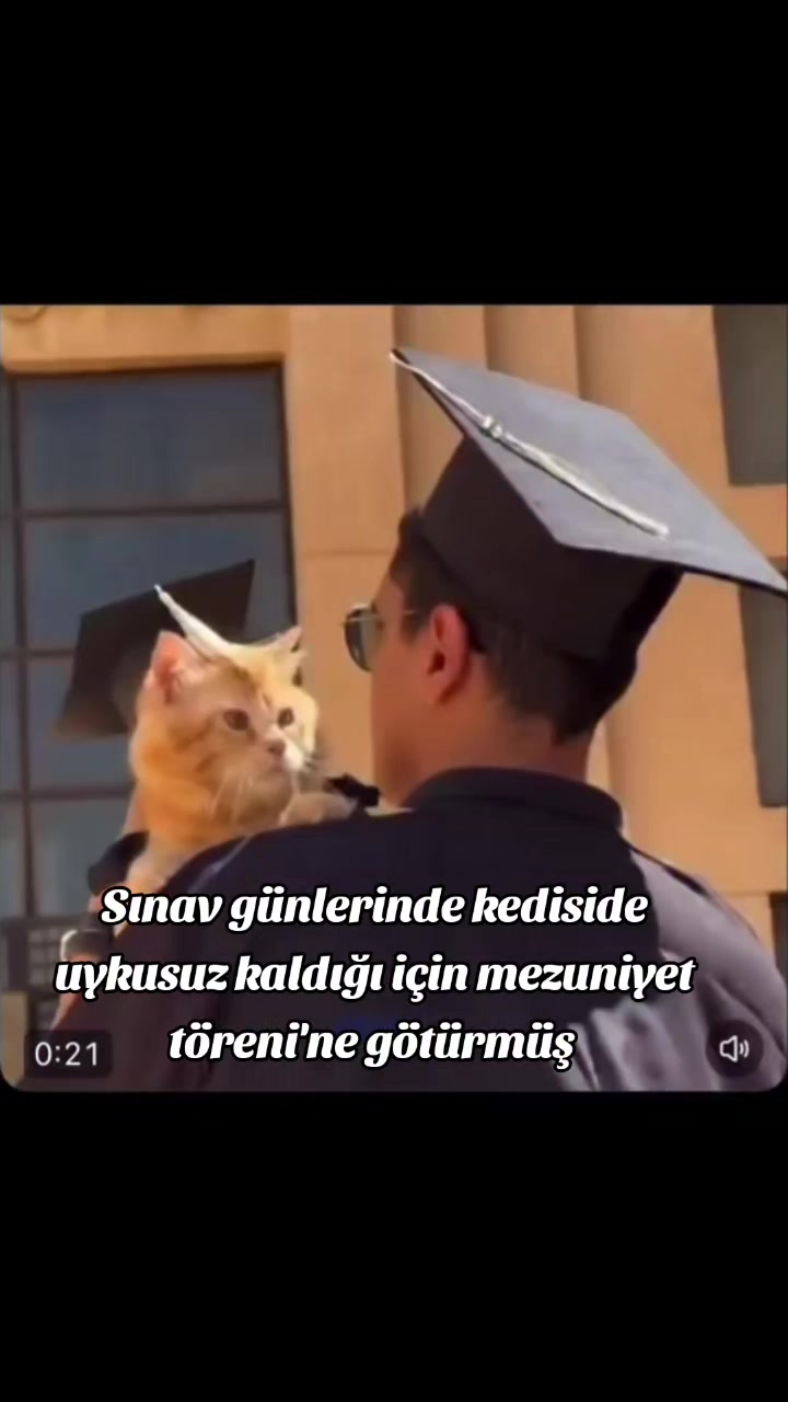 @Kader