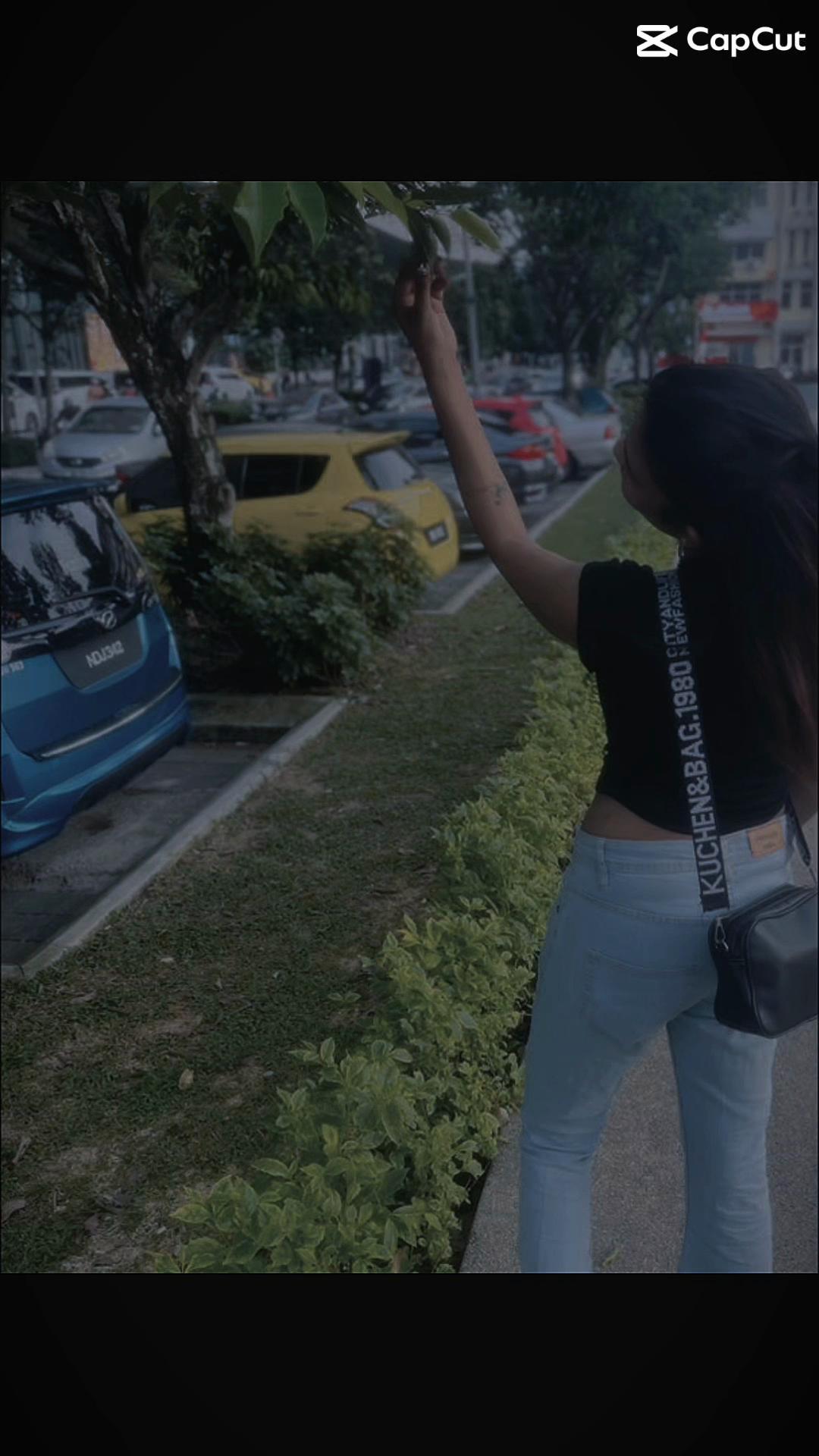 @🦄🦋..ғʟʏʏ..🦋🦄