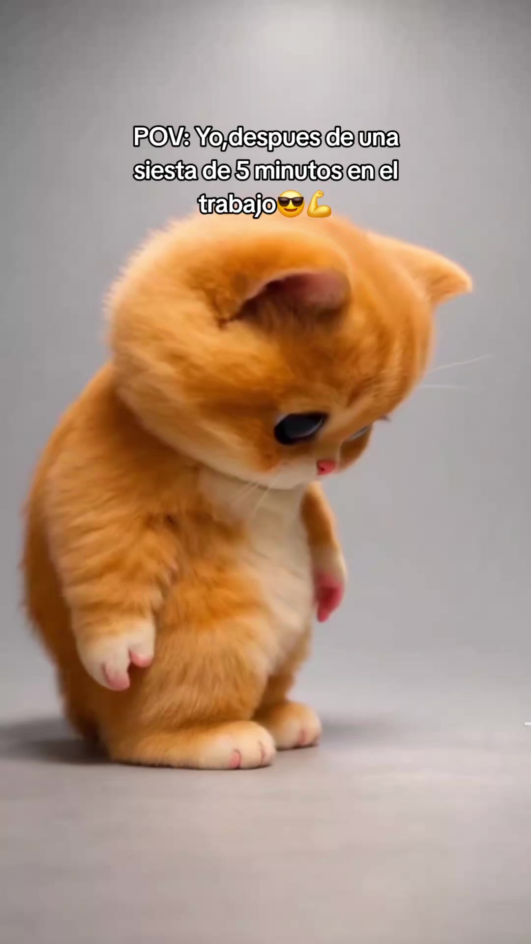 @🌻