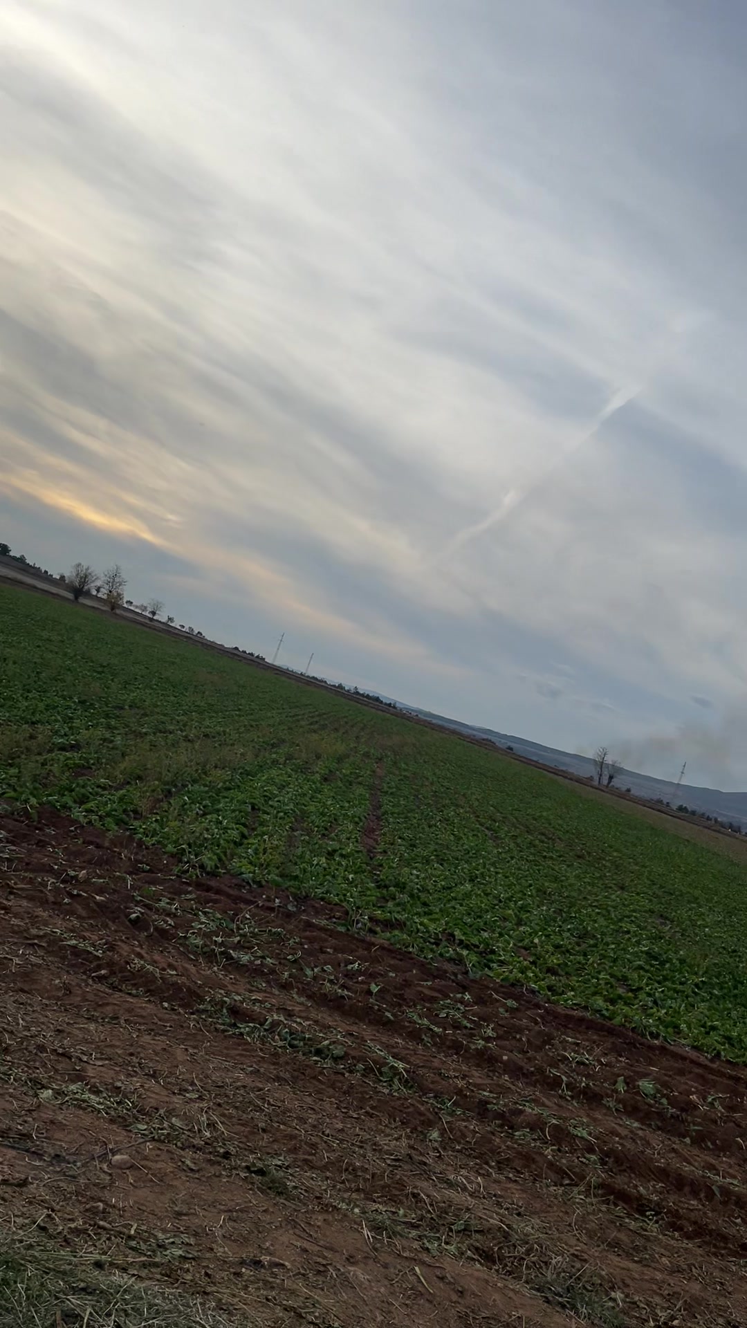 @Ferhat K&ouml;seoğlu ✅