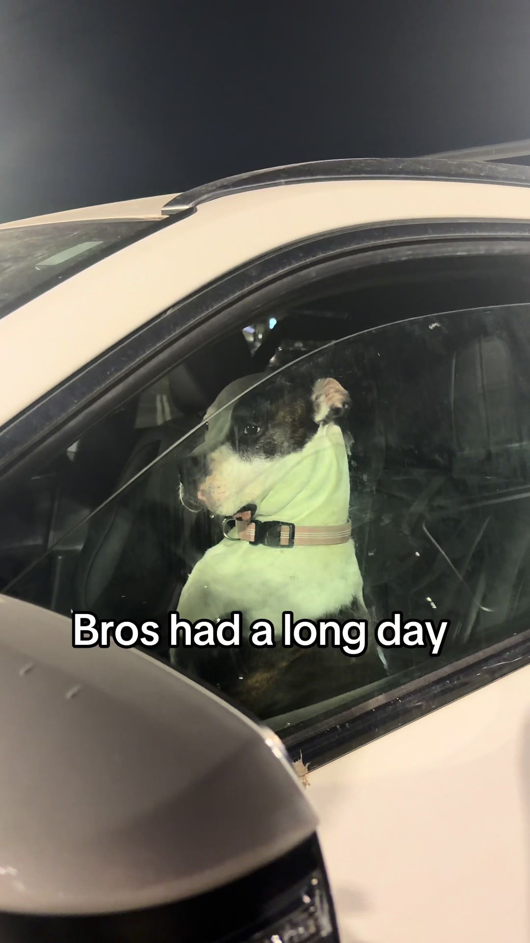 @11451123