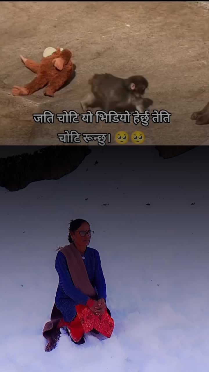 @rajudevkota310