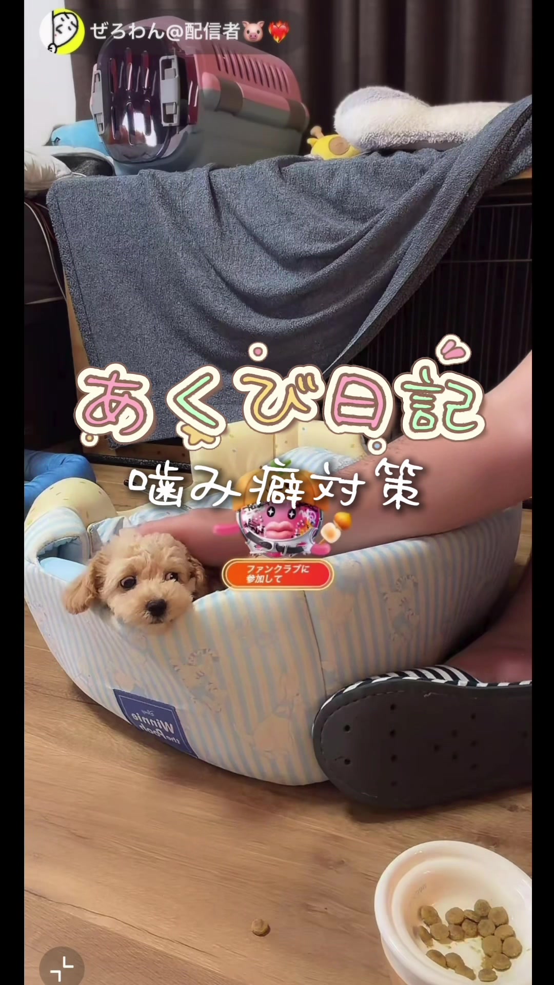 @ใฟใ๐ฆโค๏ธ๐ฅใใใฌใ