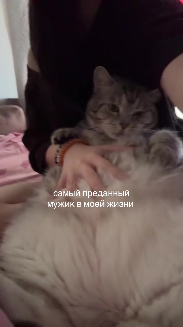 @тгк:@M3tad0