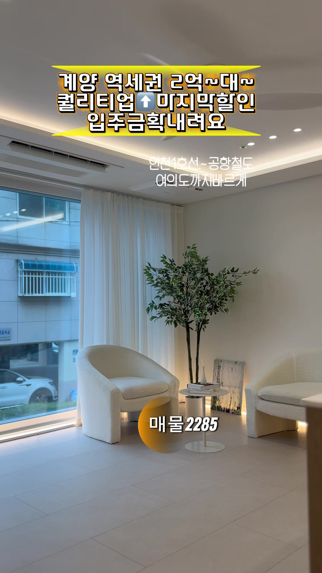 @집판다010.9164.9045김실장
