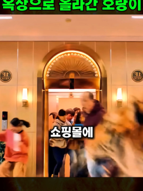@하루한편