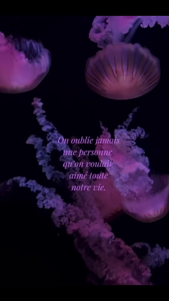 @𝓜𝓮𝓵 ´
