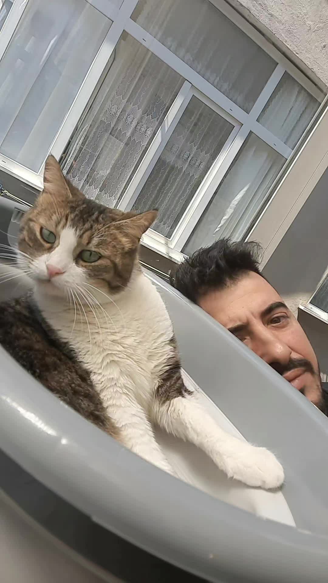 @Metin Doğan