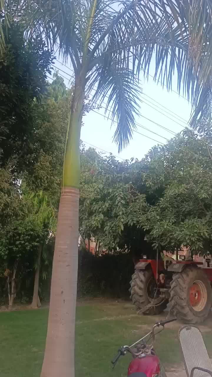 @Pakistan Kisan T.V