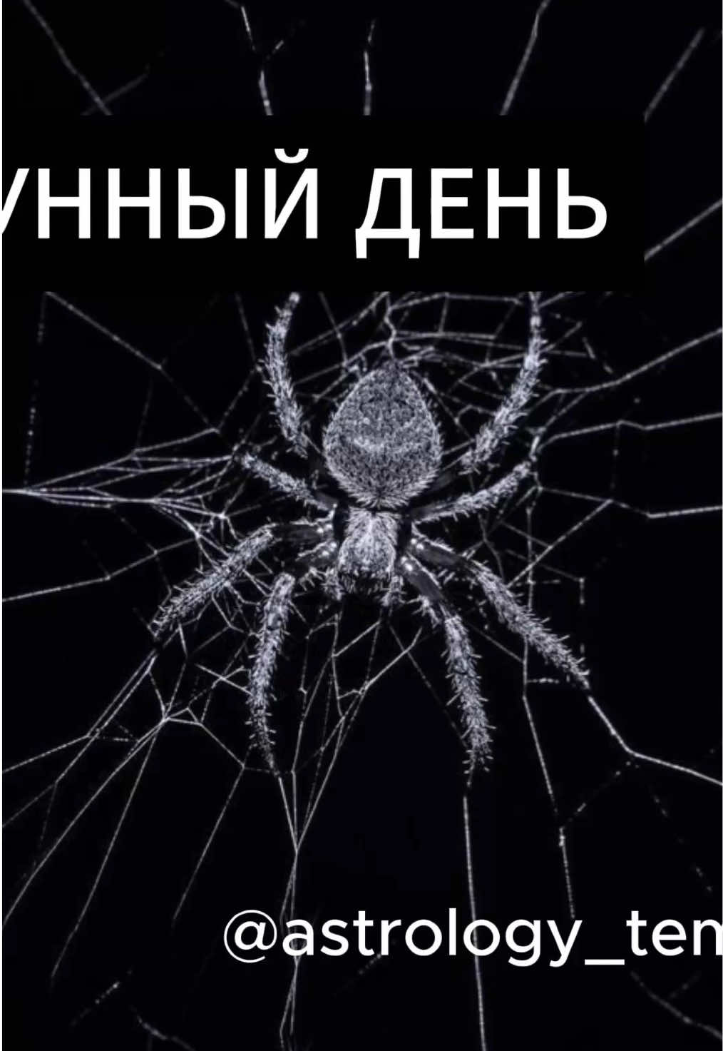 @Константин Воробьев | Астролог