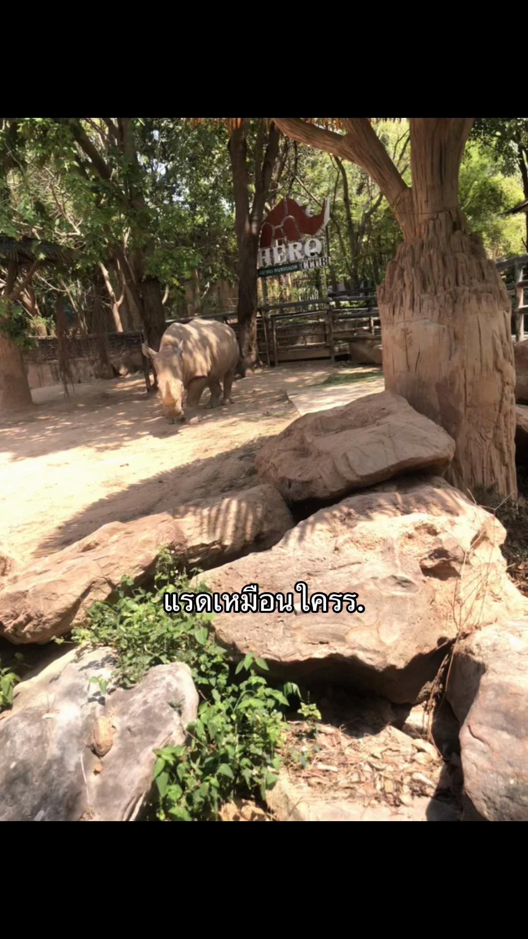 @นิภาพร ฯ.