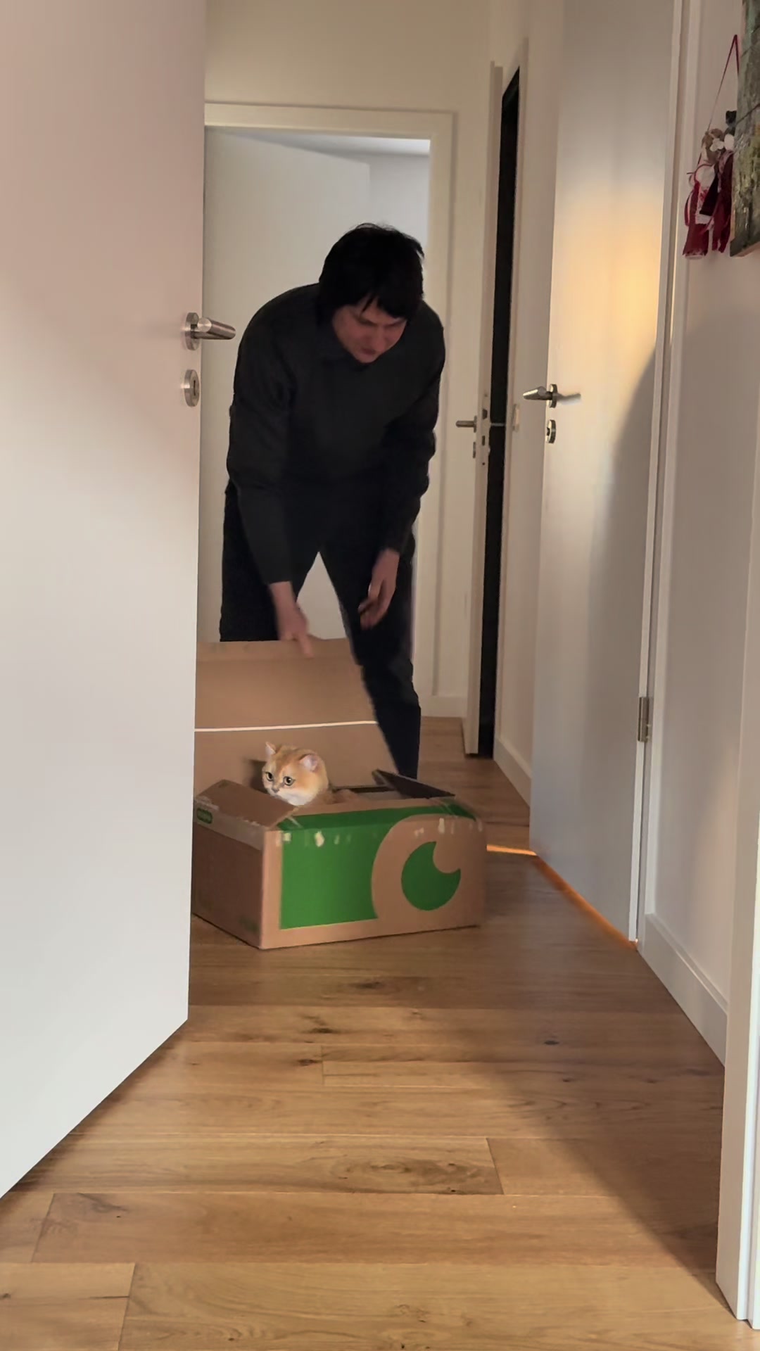 @Sammie_the_Cat