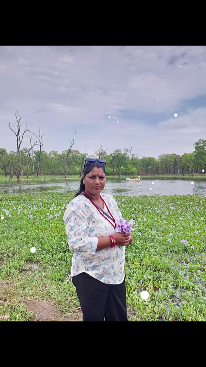 @laxmibhandari