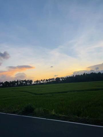 @shani vidanapathirana 🍃