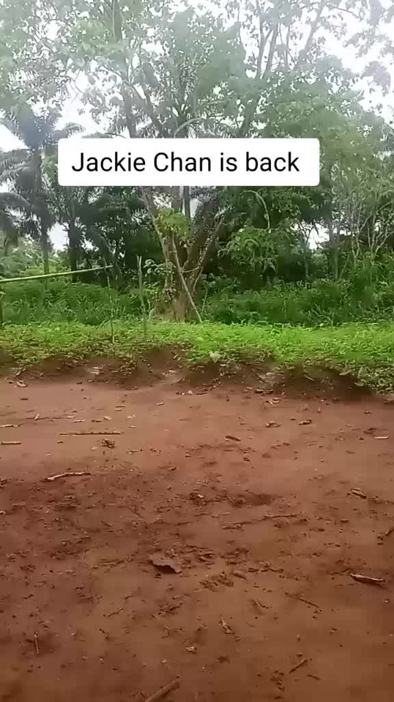 @atiteldman11
