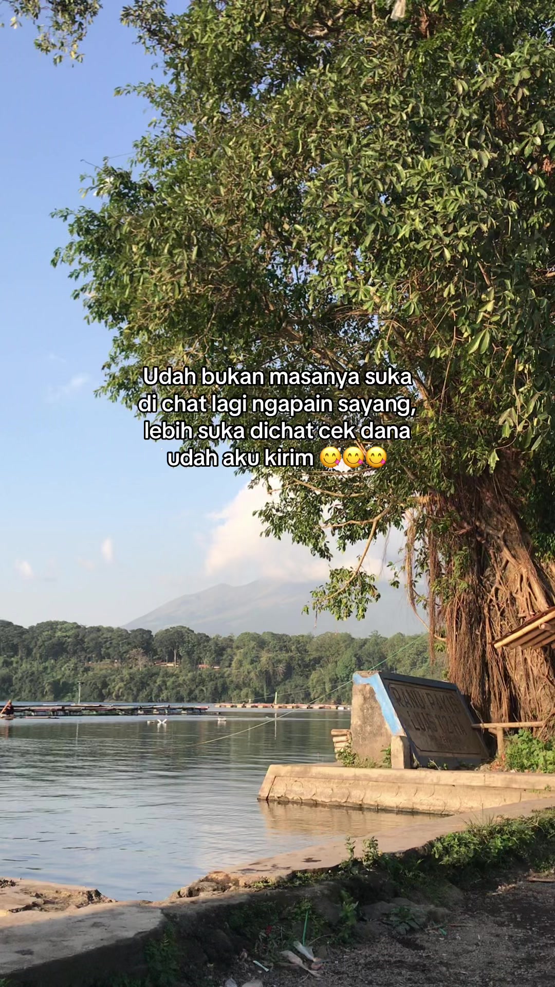 @kaktara24