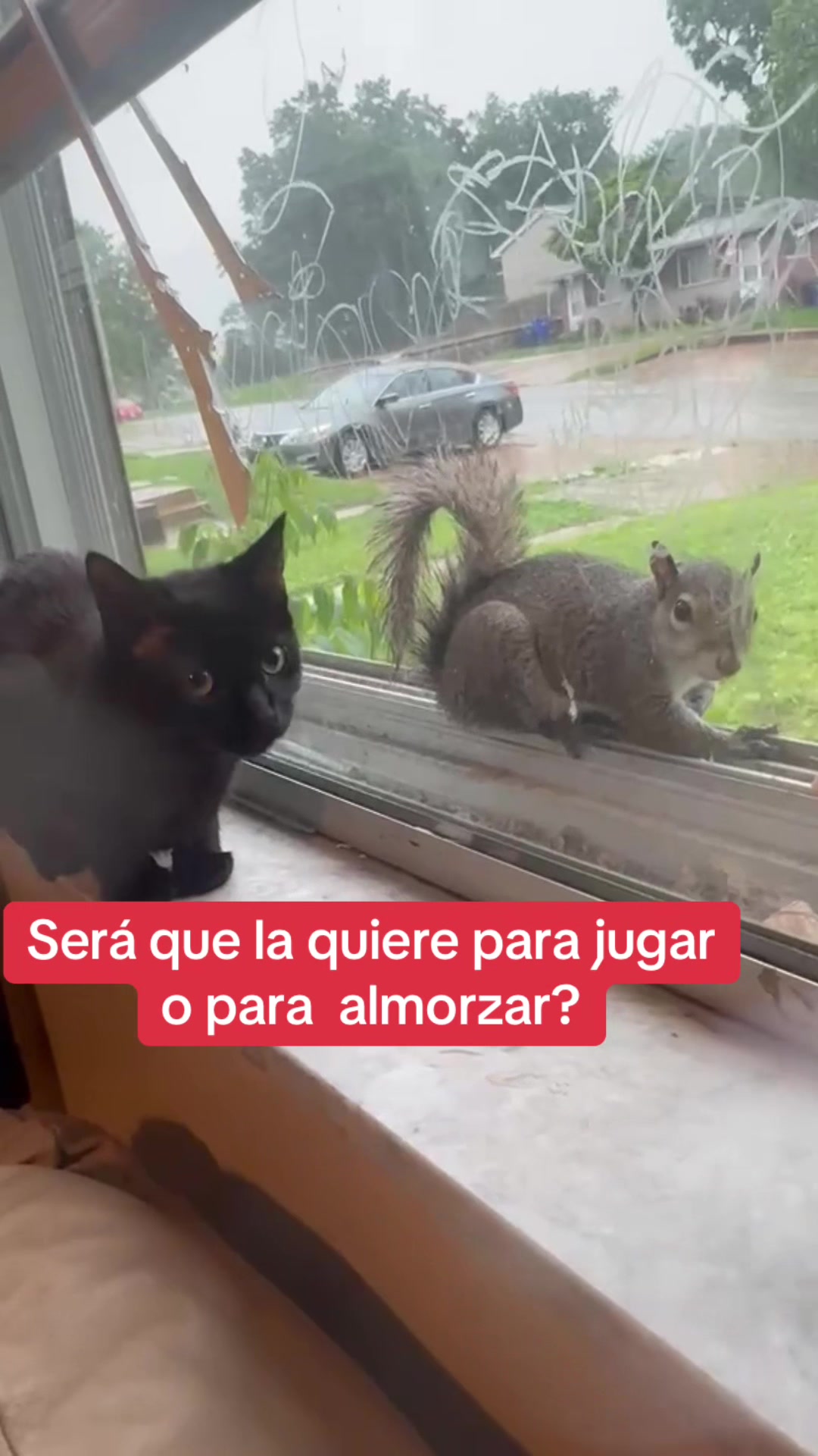@Xioma