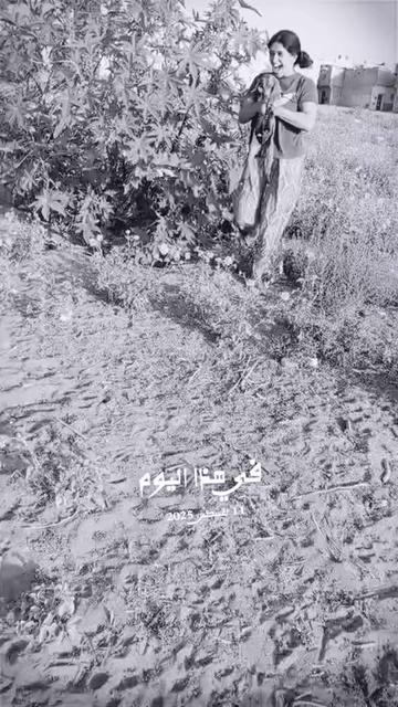 @✨ شنيولا ✨