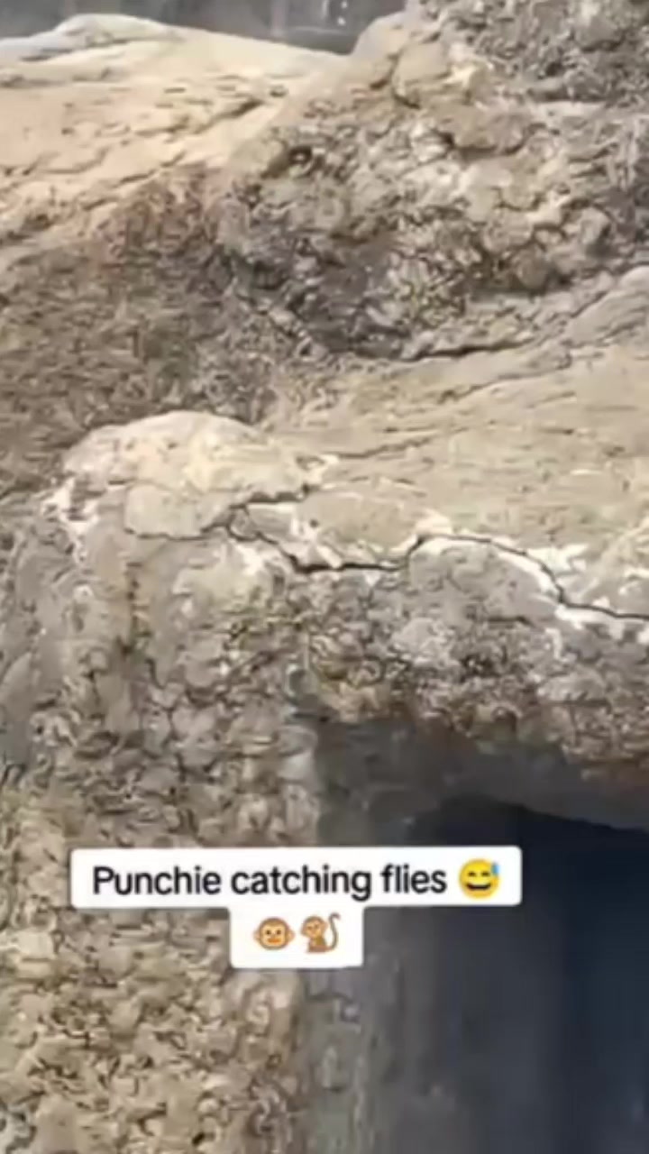 @Chaya 25