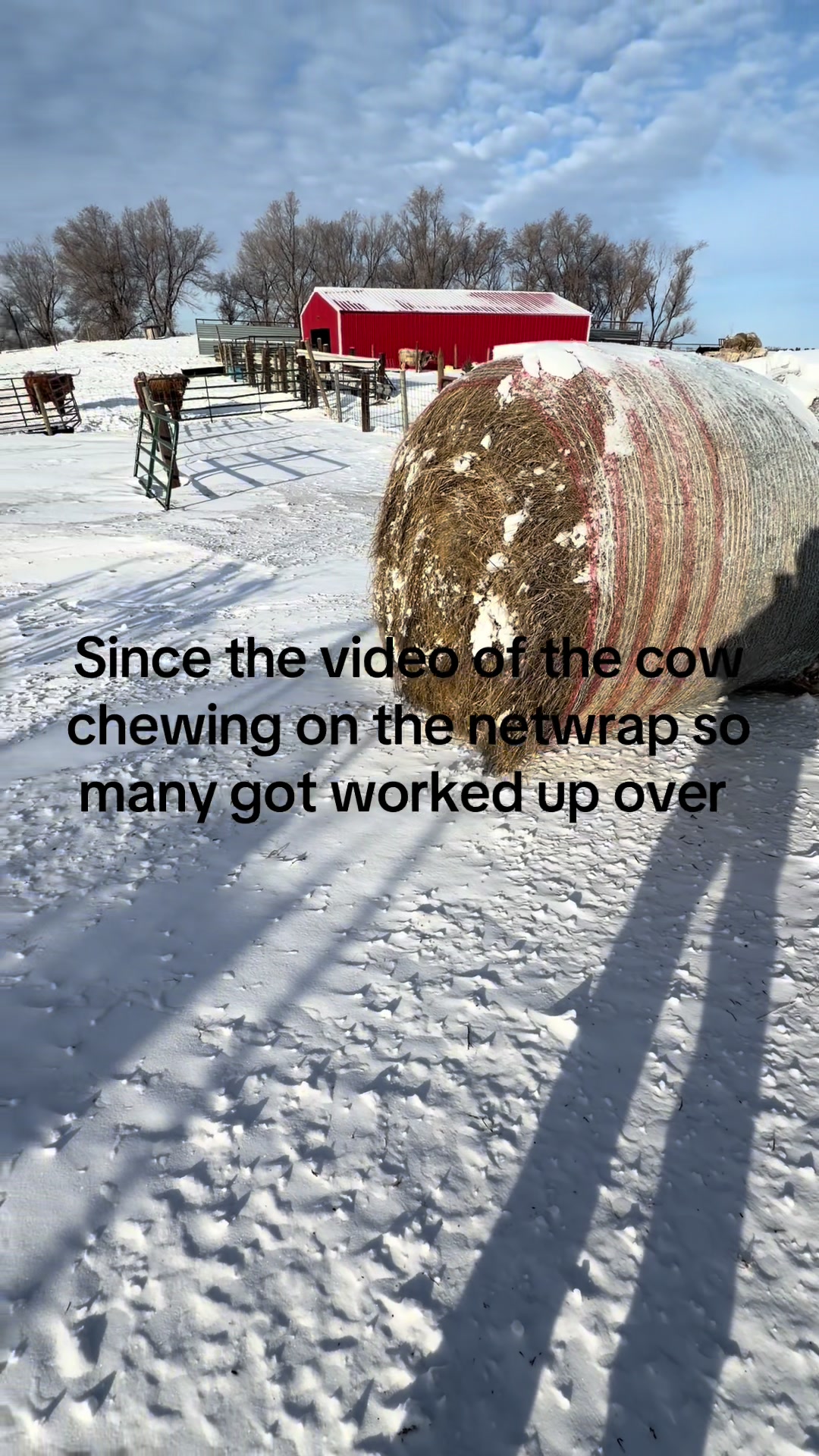 @cattleman840