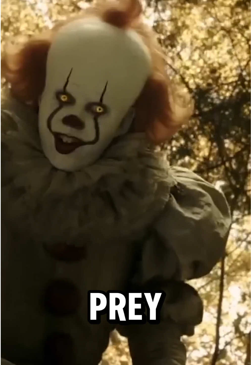 @Junglyruss