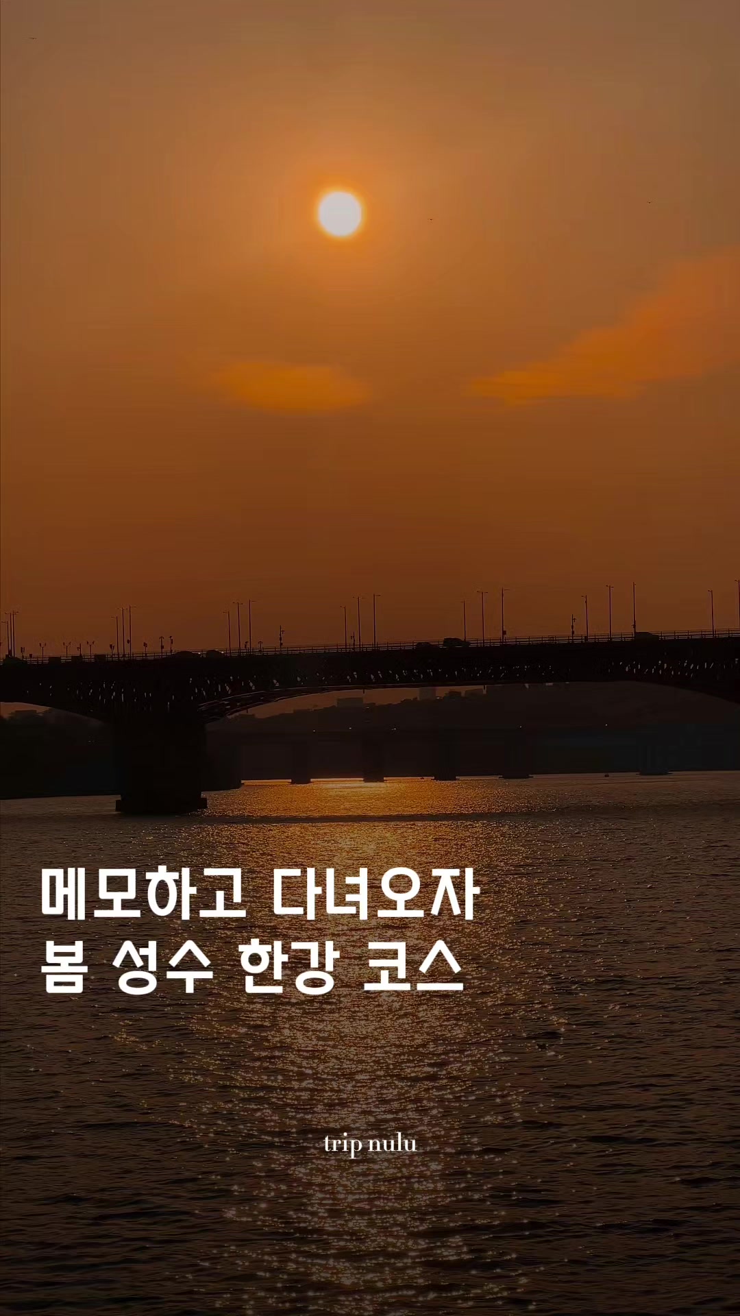 @여행 떠나는 눌루 Trip nulu