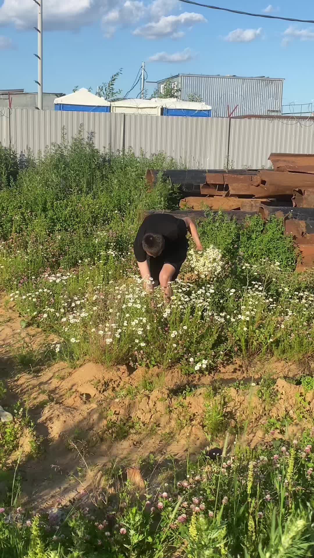 @Sonechka🕷️🌿