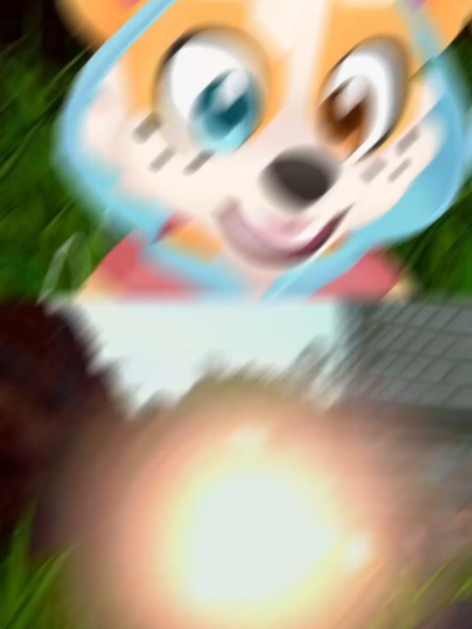 @Corgi