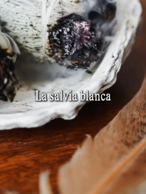 @Sentidos de la Vida