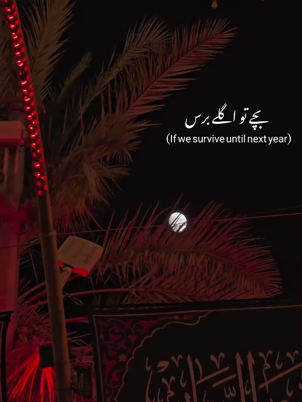 @S_Masooma Razaރ