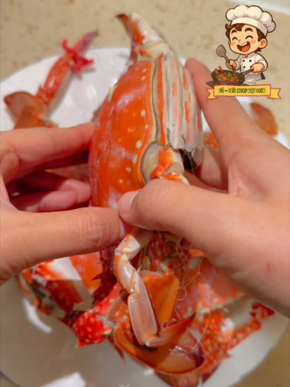 @Đỗ - Mỗi Ng&agrave;y Một M&oacute;n