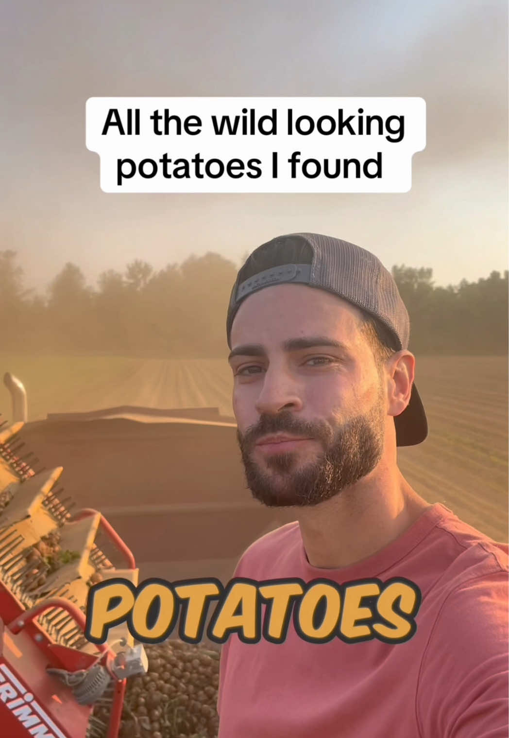 @Potato Ty