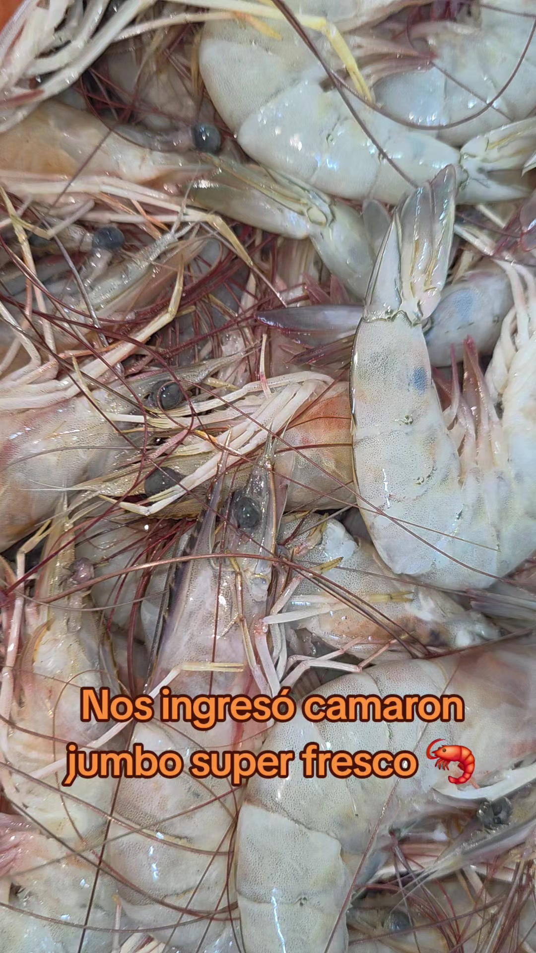 @Fish Store