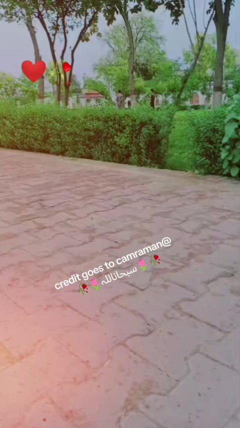 @Rauf khan